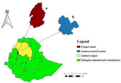 Growth Performance and Survival Rate of Fogera and Their Crossbred Calves at Government Ranches in Ethiopia